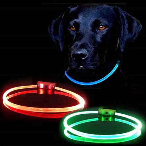 Lumitube Led Light Up Dog Safety Collar Waterproof