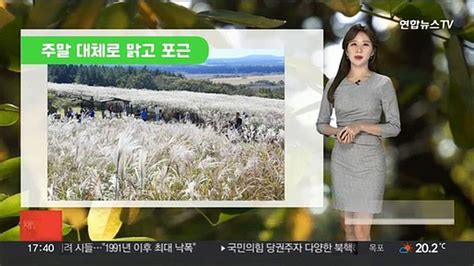 날씨 휴일 아침까지 짙은 안개·곳곳 큰 일교차모레 기온 뚝↓ 동영상 Dailymotion