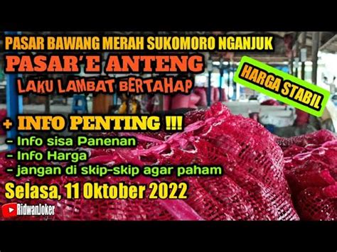 Info Penting Harga Bawang Merah Hari Ini Selasa Oktober