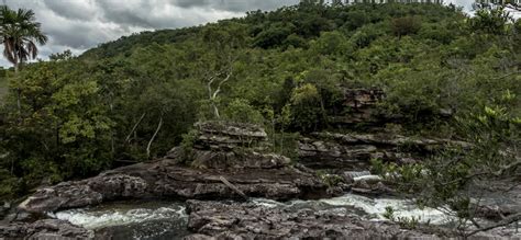 Parque Nacional Natural Sierra De La Macarena Parques Nacionales