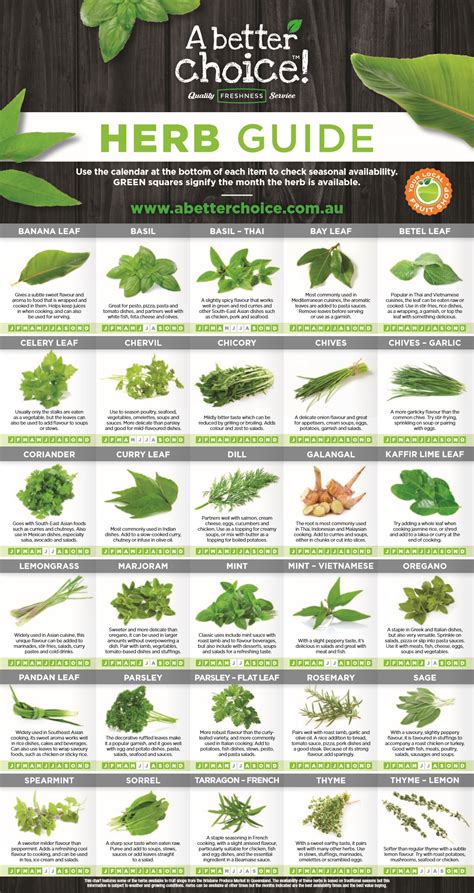 Printable Herb Chart