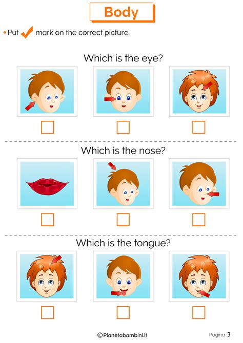 Le Parti Del Corpo In Inglese Esercizi Per La Scuola Primaria