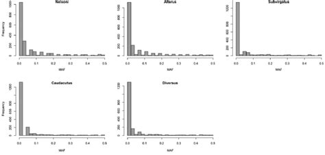 Distribution Plots Of The Snp Minor Allele Frequency Maf Distribution