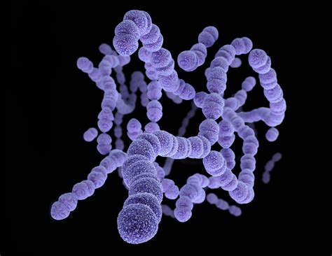 For its Covid-19 vaccine, Pfizer turns to a scientist who has gotten ...