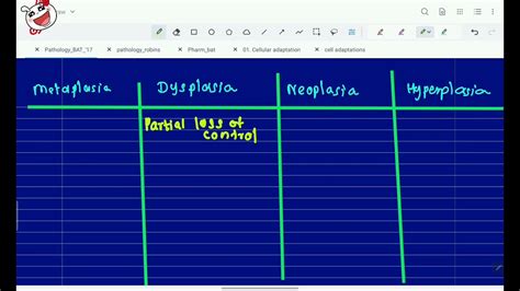 Metaplasia Vs Dysplasia Vs Neoplasia Vs Hyperplasia Youtube