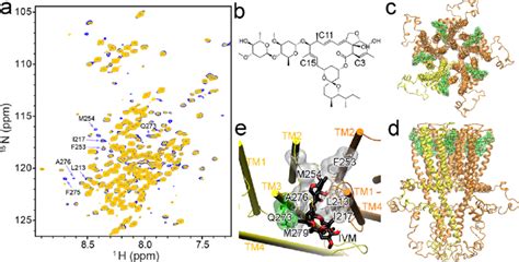 Ivermectin binding site in the α7nAChR TMD ICD a 2D saturation