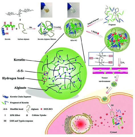 The Preparative Process For Alginate Keratin Composite Nanogels And