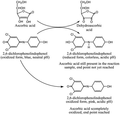 25 Principle Of Vitamin C Determination By Visual Titration Method