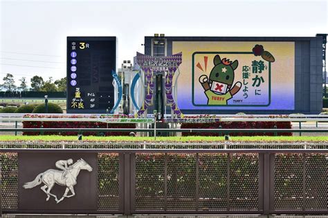 大井競馬「史上最高」2億2813万165円馬券の「50円販売」に羨望の声売り上げ“伸び悩み”jra Win5との「大きな違い」とは Gj