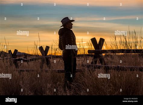 Silhouette of farmer at sunset Stock Photo - Alamy