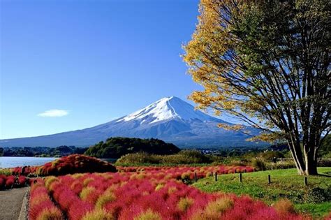 Von Tokio Ganztägige private Bergtour mit englischem Guide zur