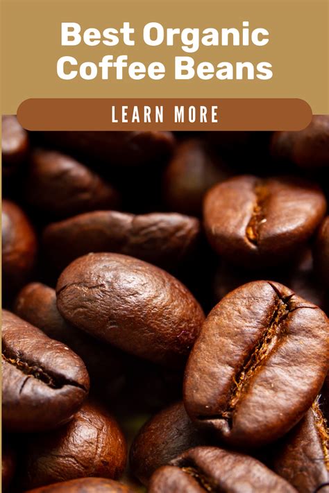 7 Best Organic Coffee Beans Buying Guide Reviews Artofit