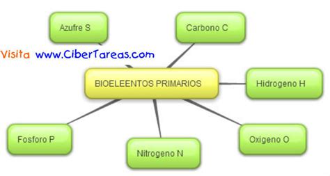 Arriba 87 Imagen Bioelementos Y Biomoleculas Mapa Mental Abzlocal Mx