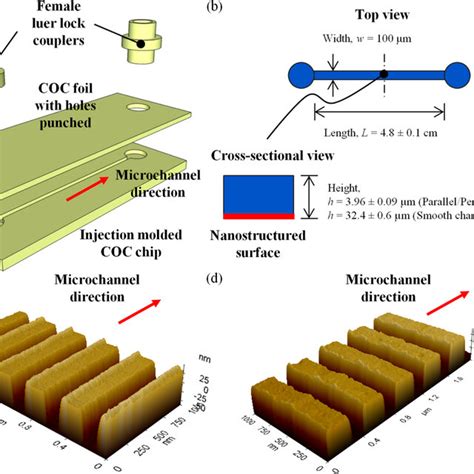 A Exploded View Of Micro Nanofluidic Device B Schematic Diagram Download Scientific