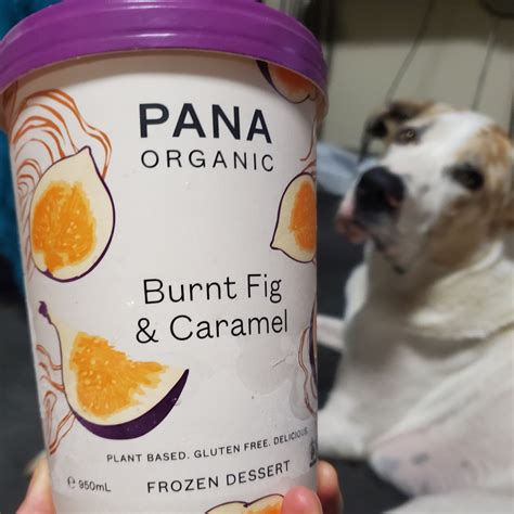 Pana Organic Burnt Fig And Caramel Frozen Dessert Reviews Abillion