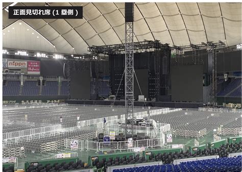 RED HOT CHILI PEPPERS The Unlimited Love Tour 来日公演特設サイト H I P