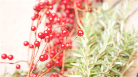 DIY Rosemary Wreath • Cherishing Life's Sprinkles®