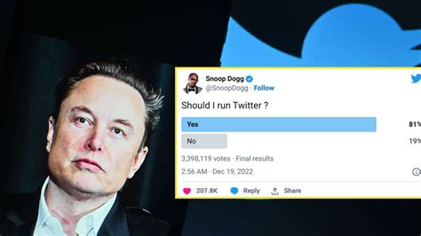 17 Personen Die Als Twitter Chef In Besser Geeignet Wären Als Elon Musk