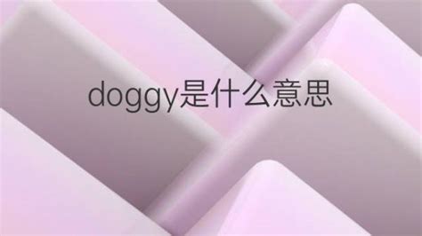 Doggy是什么意思 Doggy的翻译、读音、例句、中文解释 下午有课