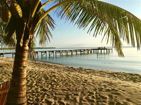 Sabal Beach Updated Prices Reviews And Photos Belizepunta Gorda