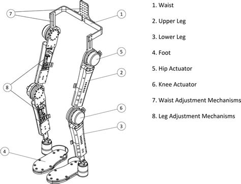 Design And Motion Control Of A Lower Limb Robotic Exoskeleton IntechOpen