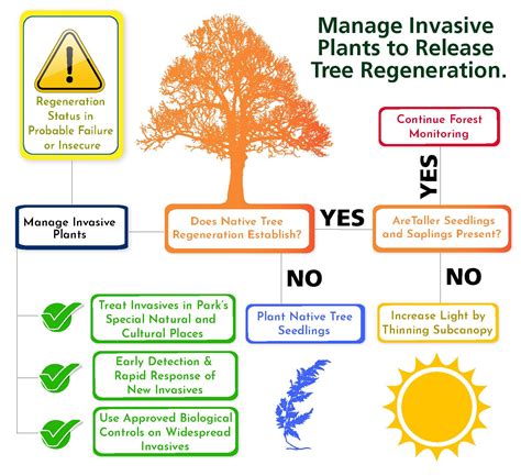 Resilient Forests Initiative Managing Invasive Plants Pests U S