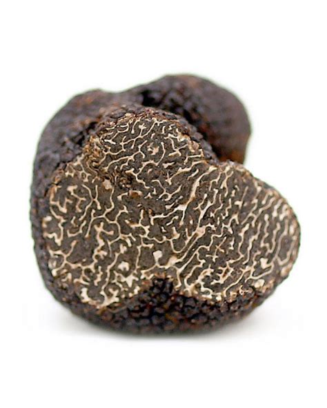 Купить черный трюфель Мезентрикум в Fruitonline