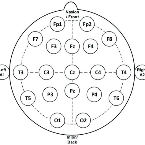 Electrodes Placement Of Electroencephalogram Eeg Measurement [4