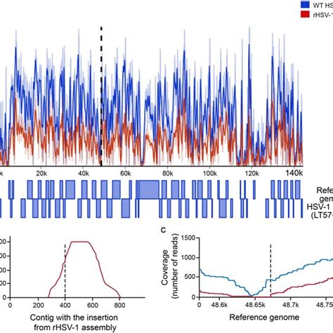 Sequencing Depth Coverage Number Of Reads From High Throughput