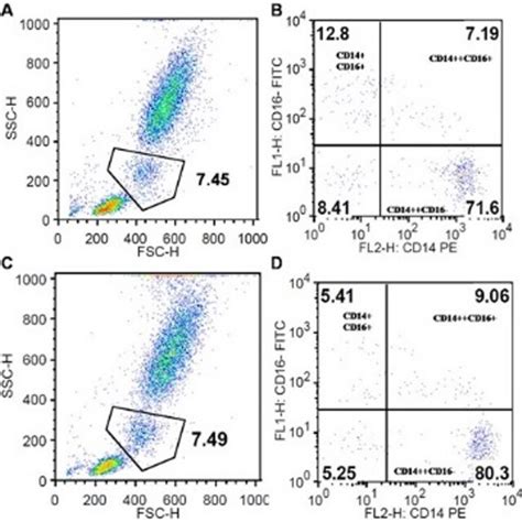 PDF Effect Of Non Surgical Periodontal Therapy On CD14 CD16