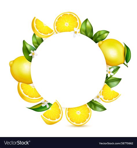 Citrus Lemon Realistic Frame Royalty Free Vector Image