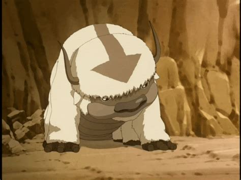 Download Hug Appa Avatar Momo Avatar Aang Avatar Sokka Avatar Anime Avatar The Last