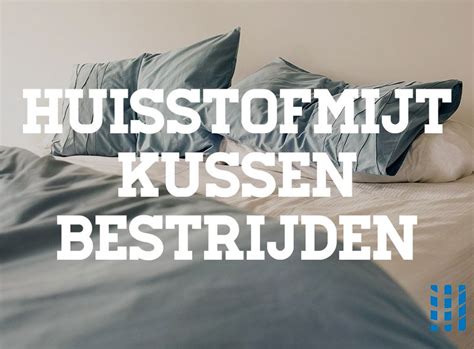 Huisstofmijt Kussen Bestrijden Luchtreinigeradvies