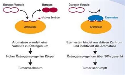 Anti Hormontherapie Frauen Rztin Dr Kerstin Ulrich Winkelspecht