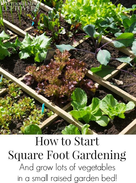 How to Start Square Foot Gardening