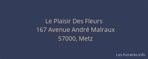 Horaires Le Plaisir Des Fleurs Avenue André Malraux Metz