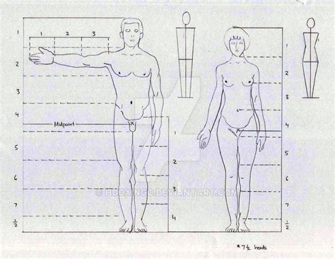 drawing human proportions tutorial - Inveterate E-Journal Photo Exhibition