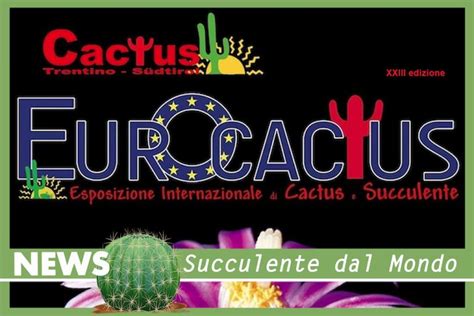 Eurocactus Copertina Il Fiore Tra Le Spine