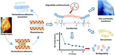 Synthesis Of PLApoly Ether Urethane PLA Copolymers And Design Of