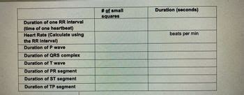 The Rhythm Of Your Heart: 3 Simple Steps To Unlocking Rr Intervals