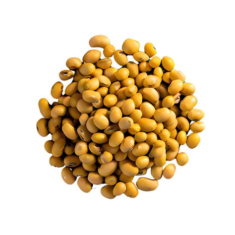 Ai Generated Roasted Soybeans Isolated On Transparent Background