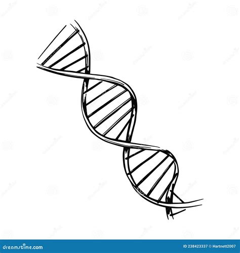 Dna Molecule Structure Genetic And Chemistry Research Isolated Vector Illustration Hand Drawn