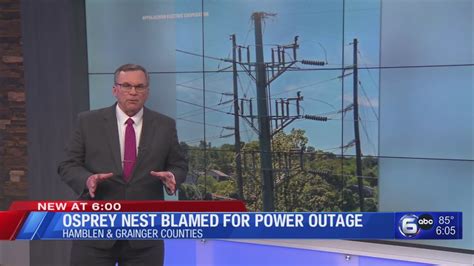 Osprey Nest Blamed For Power Outage Youtube