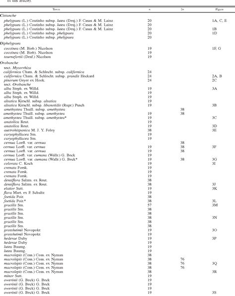 Table From Chromosome Numbers And Karyotype Evolution In