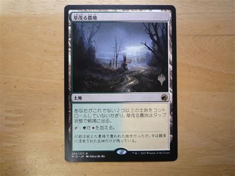 Yahooオークション Mtg Mid 茂る農地overgrown Farmland 日本語 プ