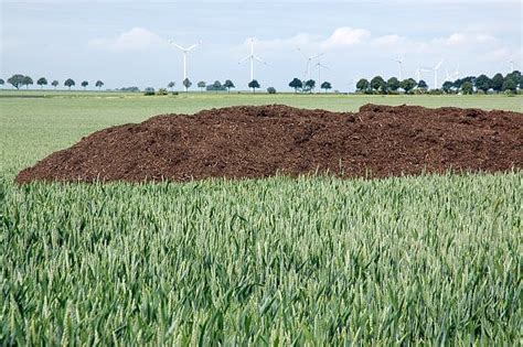 Kolandbau Nrw Fachtag Kompost Sonderstellung Und Besonderheiten