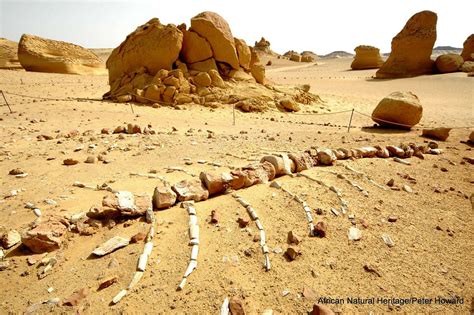 Wadi Al Hitan Whale Valley Natural World Heritage Sites