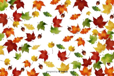 Free Vector Hand Drawn Leaves Autumn Background