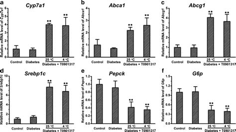 Treatment By T0901317 With Or Without Cold Exposure Had Similar Effect