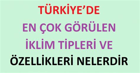 Türkiyede En Çok Görülen İklim Tipleri ve Özellikleri Nelerdir